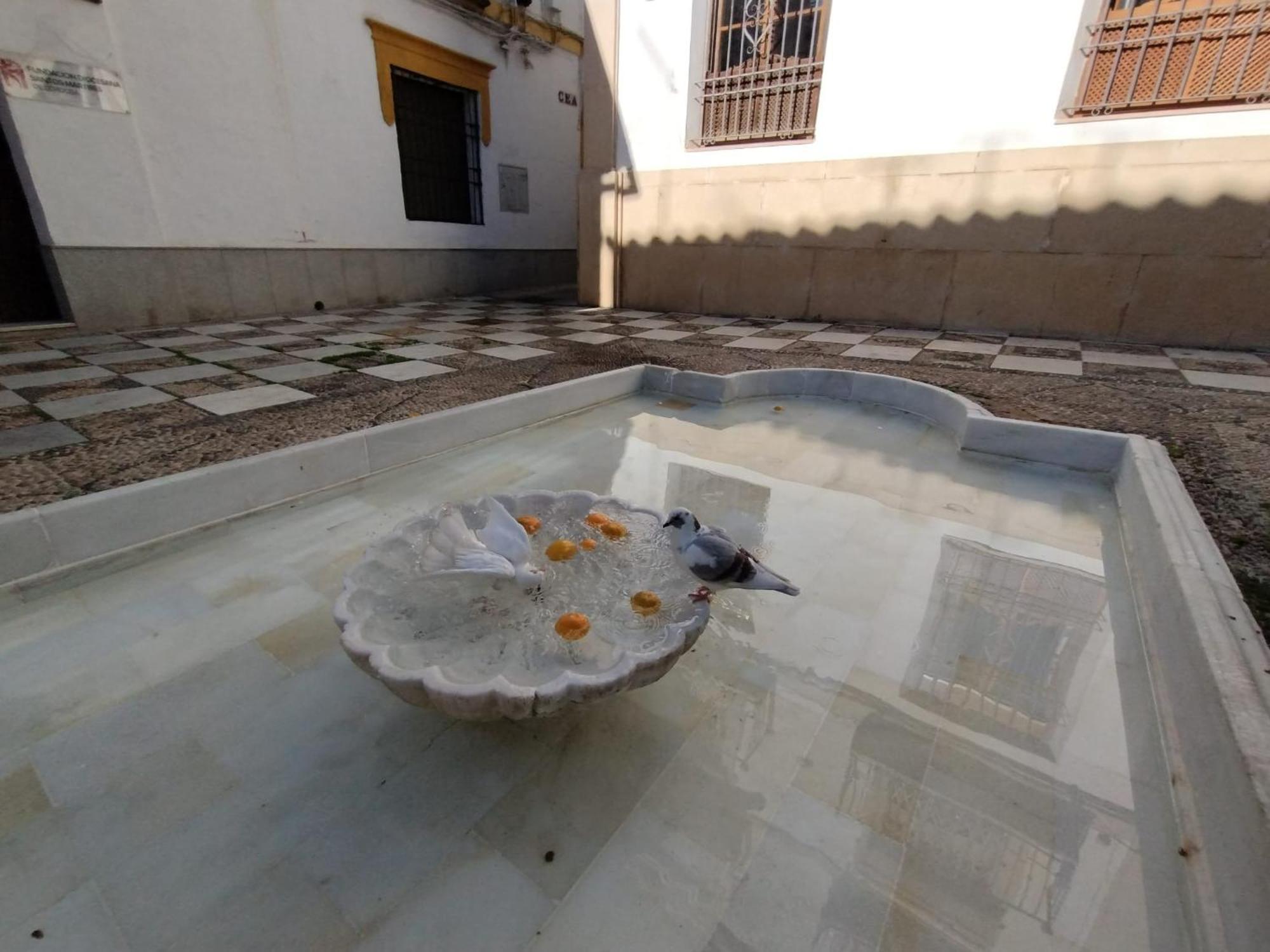 Apartamento Guimar Momentos, Vívelos En *